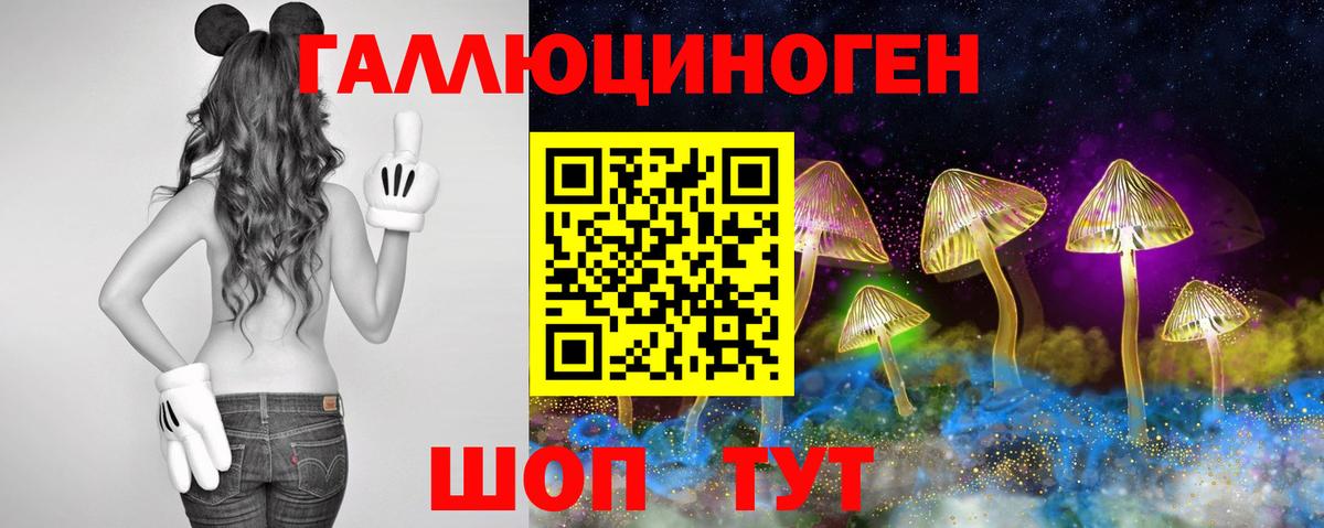 Галлюциногенные грибы Psilocybe Лобня