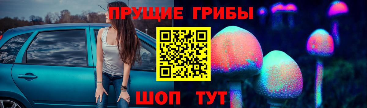 Лобня  Псилоцибиновые грибы GOLDEN TEACHER  Вход с VPN 